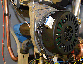 ar genus one net.fan insitu small.gif